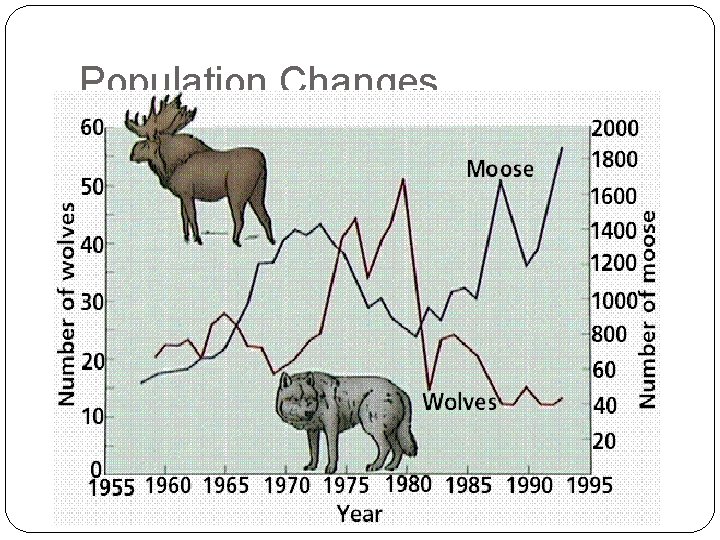 Population Changes 