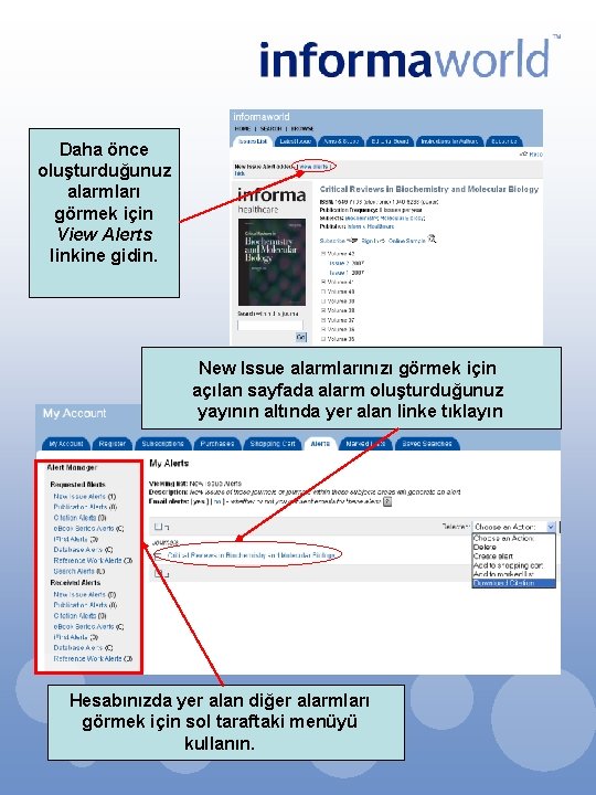 Daha önce oluşturduğunuz alarmları görmek için View Alerts linkine gidin. New Issue alarmlarınızı görmek