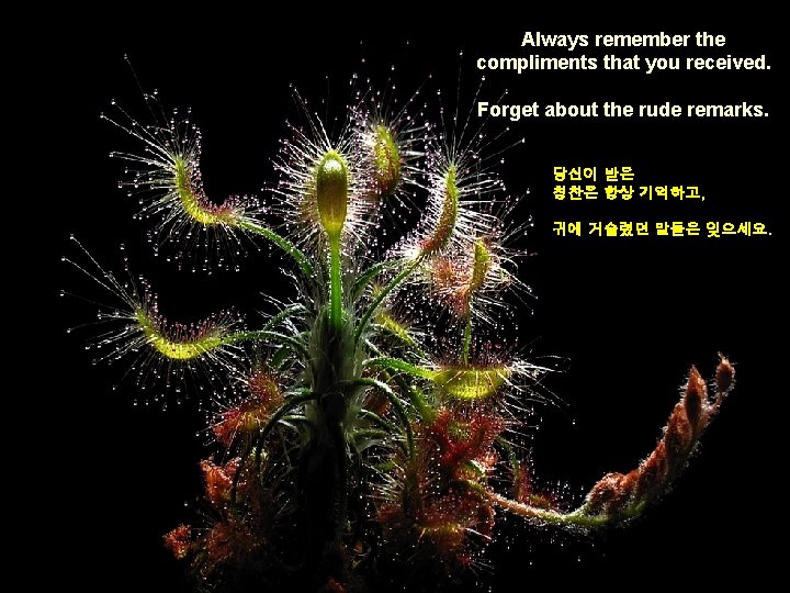 Always remember the compliments that you received. Forget about the rude remarks. 당신이 받은