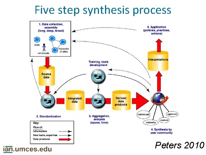 Five step synthesis process Peters 2010 