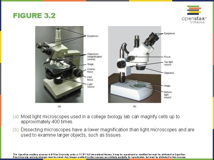 FIGURE 3. 2 (a) Most light microscopes used in a college biology lab can