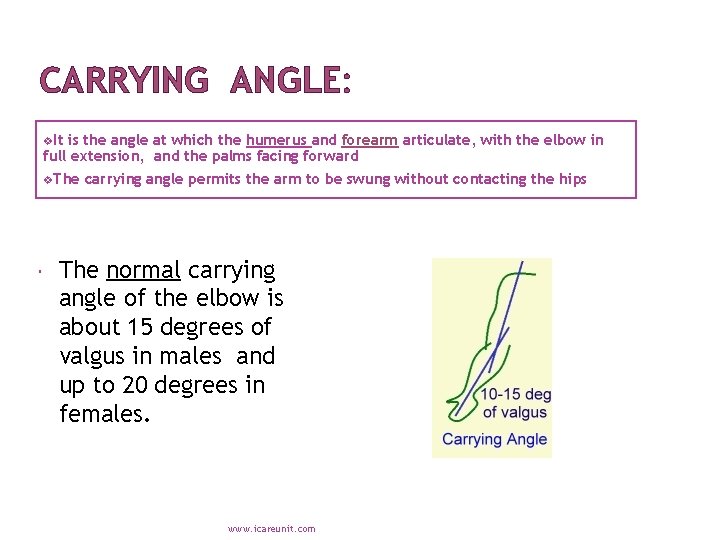 CARRYING ANGLE: v. It is the angle at which the humerus and forearm articulate,