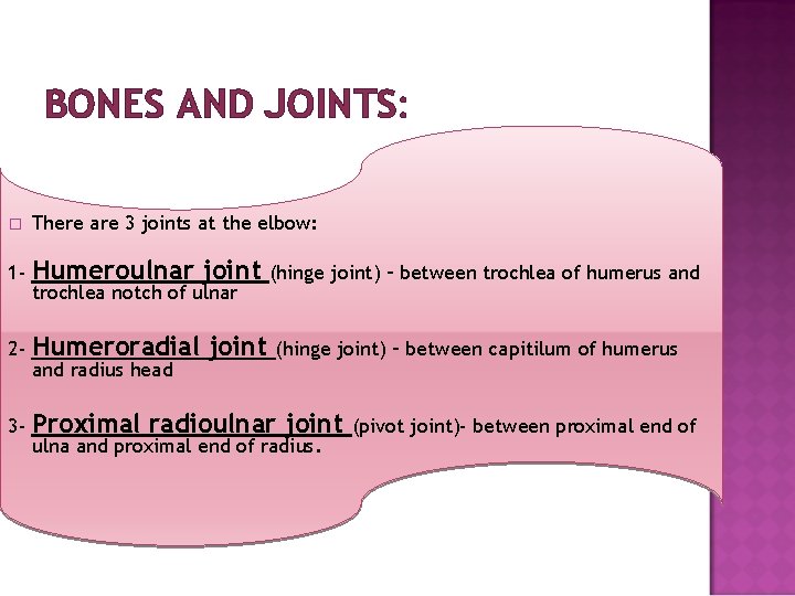 BONES AND JOINTS: � There are 3 joints at the elbow: 1 - Humeroulnar