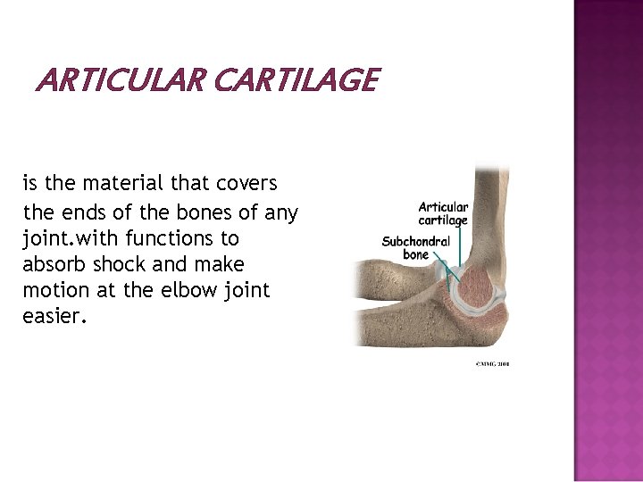 ARTICULAR CARTILAGE is the material that covers the ends of the bones of any