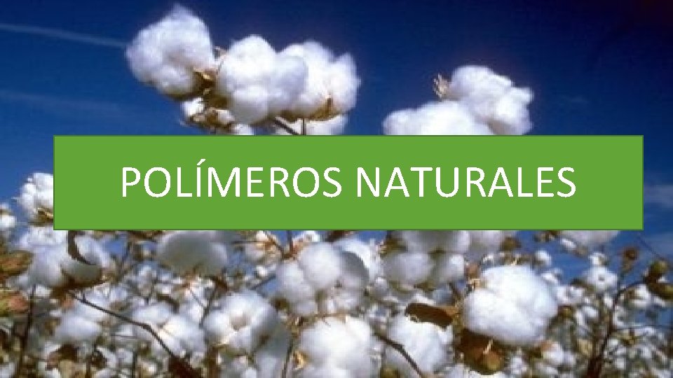 POLÍMEROS NATURALES 