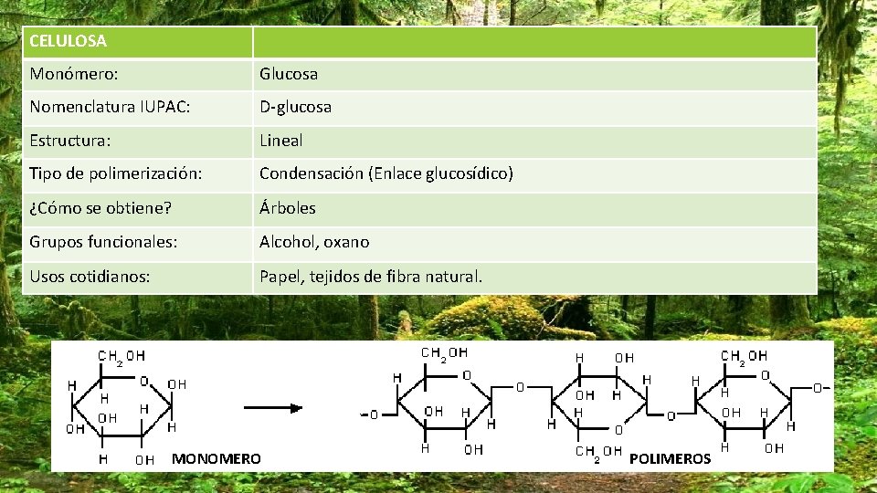 CELULOSA Monómero: Glucosa Nomenclatura IUPAC: D-glucosa Estructura: Lineal Tipo de polimerización: Condensación (Enlace glucosídico)