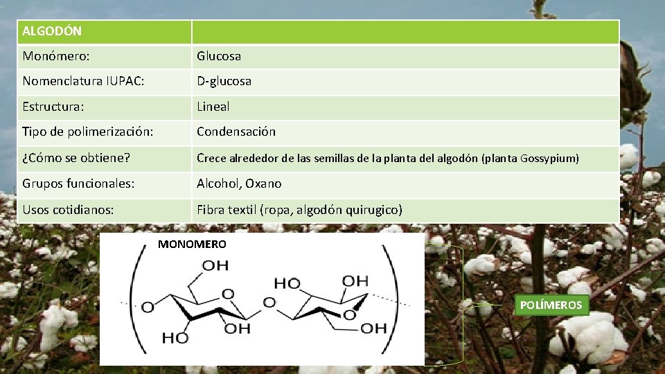 ALGODÓN Monómero: Glucosa Nomenclatura IUPAC: D-glucosa Estructura: Lineal Tipo de polimerización: Condensación ¿Cómo se
