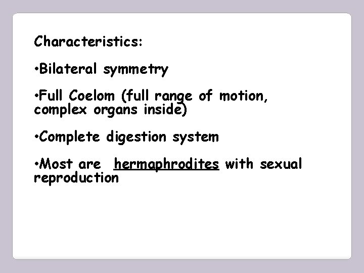 Characteristics: • Bilateral symmetry • Full Coelom (full range of motion, complex organs inside)