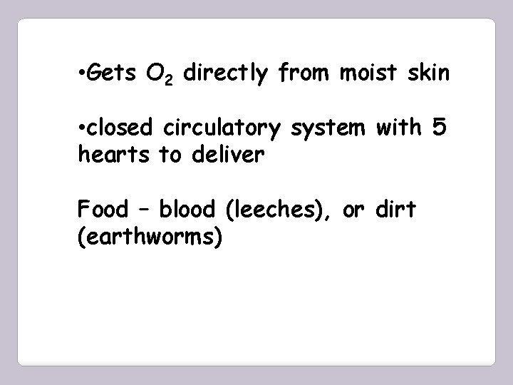  • Gets O 2 directly from moist skin • closed circulatory system with