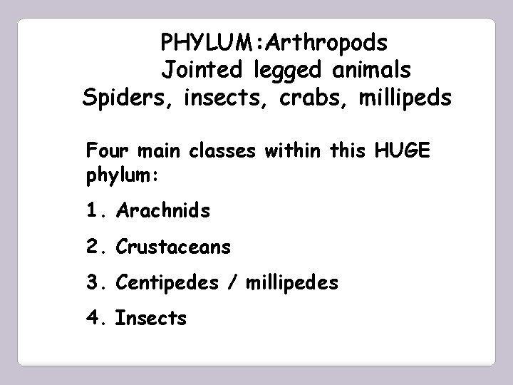 PHYLUM: Arthropods Jointed legged animals Spiders, insects, crabs, millipeds Four main classes within this
