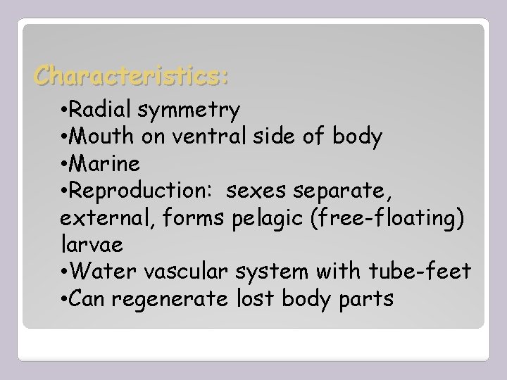 Characteristics: • Radial symmetry • Mouth on ventral side of body • Marine •
