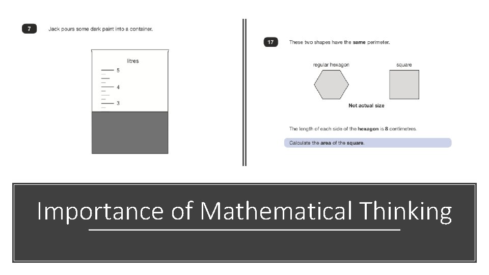 Importance of Mathematical Thinking 