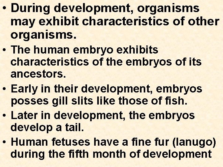  • During development, organisms may exhibit characteristics of other organisms. • The human
