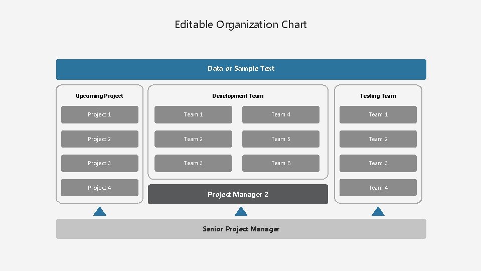 Editable Organization Chart Data or Sample Text Upcoming Project Development Team Testing Team Project