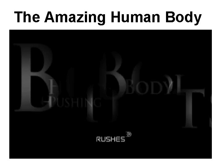 The Amazing Human Body  The Amazing Human Body