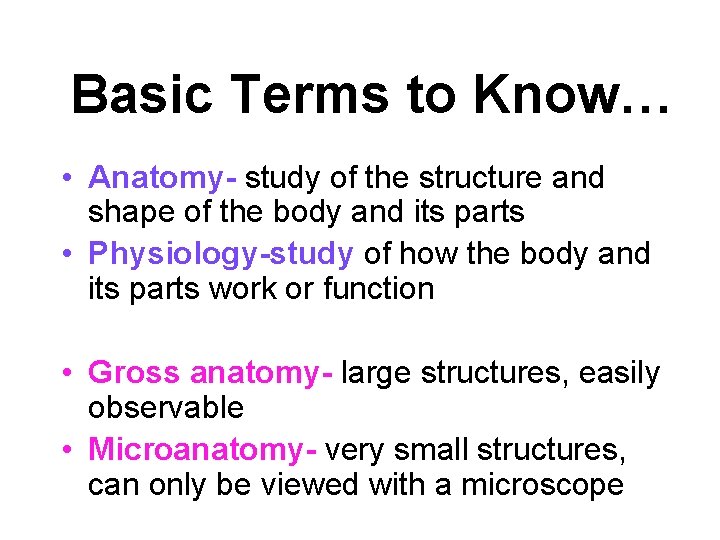 Basic Terms to Know… • Anatomy- study of the structure and shape of the Basic Terms to Know… • Anatomy- study of the structure and shape of the