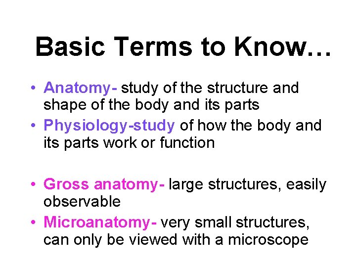 Basic Terms to Know… • Anatomy- study of the structure and shape of the