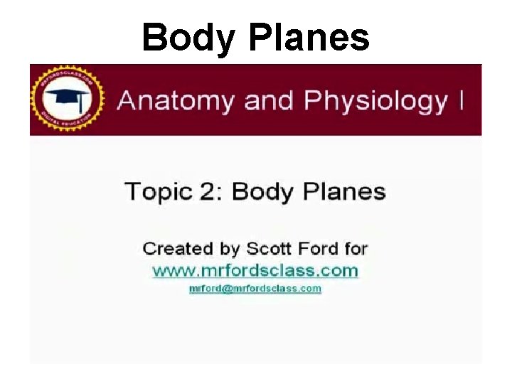 Body Planes  Body Planes