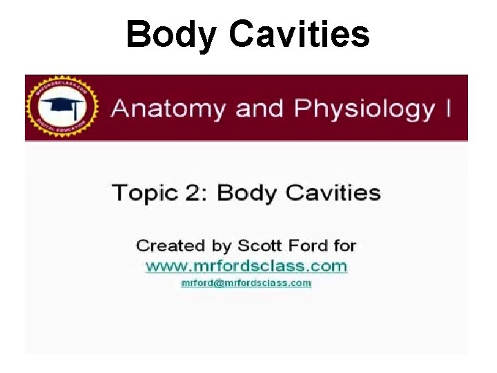 Body Cavities  Body Cavities