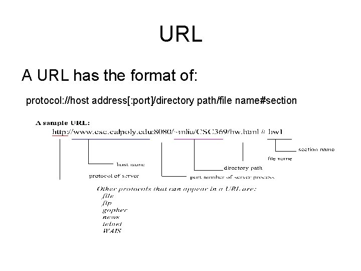 URL A URL has the format of: protocol: //host address[: port]/directory path/file name#section 