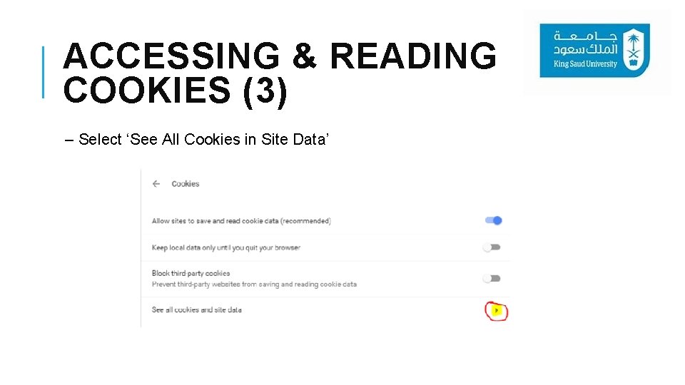ACCESSING & READING COOKIES (3) – Select ‘See All Cookies in Site Data’ 