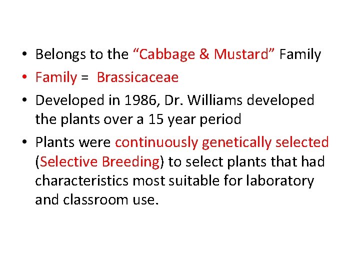  • Belongs to the “Cabbage & Mustard” Family • Family = Brassicaceae •