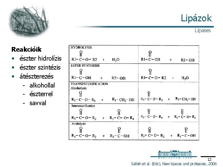 Lipázok Lipases Reakcióik § észter hidrolízis § észter szintézis § átészterezés alkohollal észterrel savval