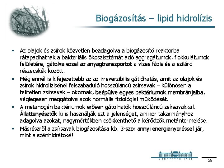 Biogázosítás – lipid hidrolízis § § Az olajok és zsírok közvetlen beadagolva a biogázosító