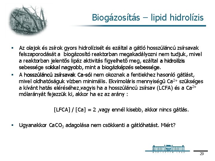 Biogázosítás – lipid hidrolízis § § Az olajok és zsírok gyors hidrolízisét és ezáltal
