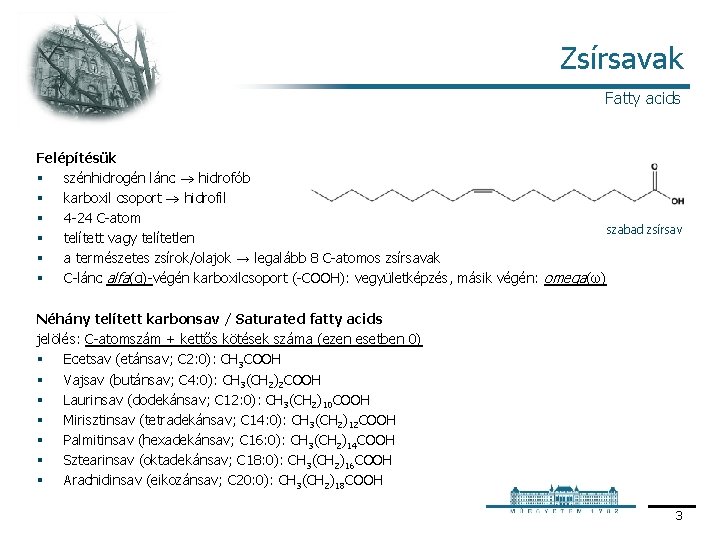 Zsírsavak Fatty acids Felépítésük § szénhidrogén lánc hidrofób § karboxil csoport hidrofil § 4