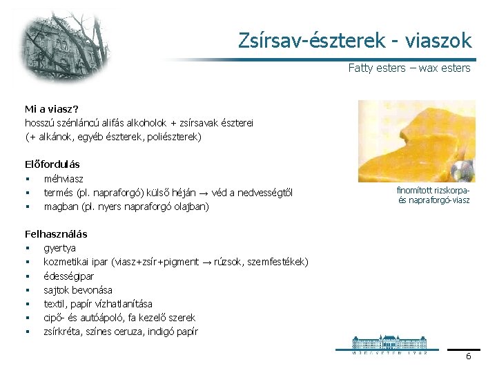 Zsírsav észterek viaszok Fatty esters – wax esters Mi a viasz? hosszú szénláncú alifás