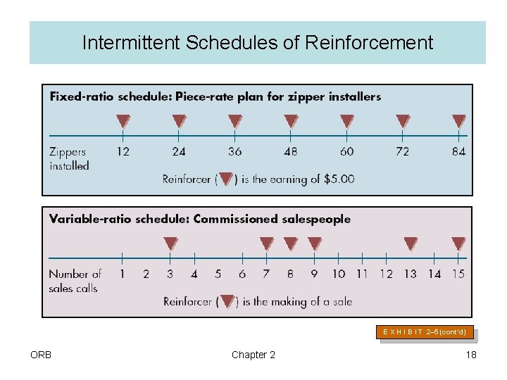 Intermittent Schedules of Reinforcement E X H I B I T 2– 5 (cont’d)