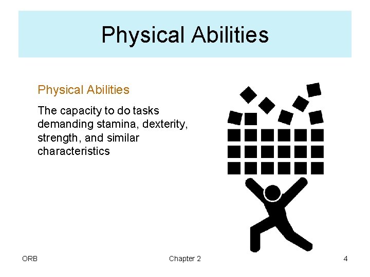 Physical Abilities The capacity to do tasks demanding stamina, dexterity, strength, and similar characteristics
