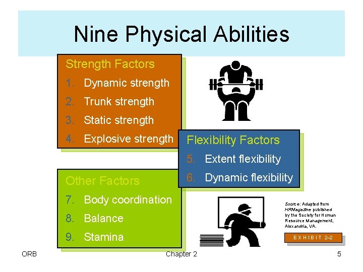 Nine Physical Abilities Strength Factors 1. Dynamic strength 2. Trunk strength 3. Static strength