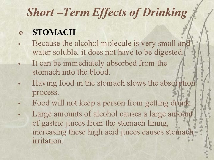 Short –Term Effects of Drinking v • • • STOMACH Because the alcohol molecule