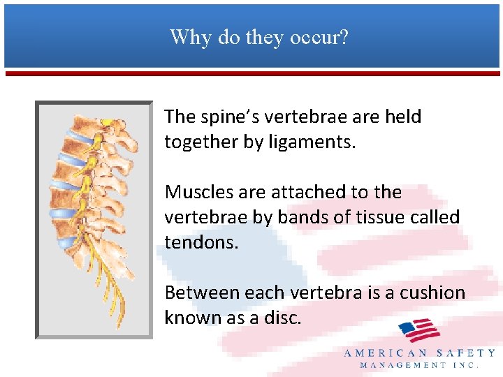 Why do they occur? The spine’s vertebrae are held together by ligaments. Muscles are