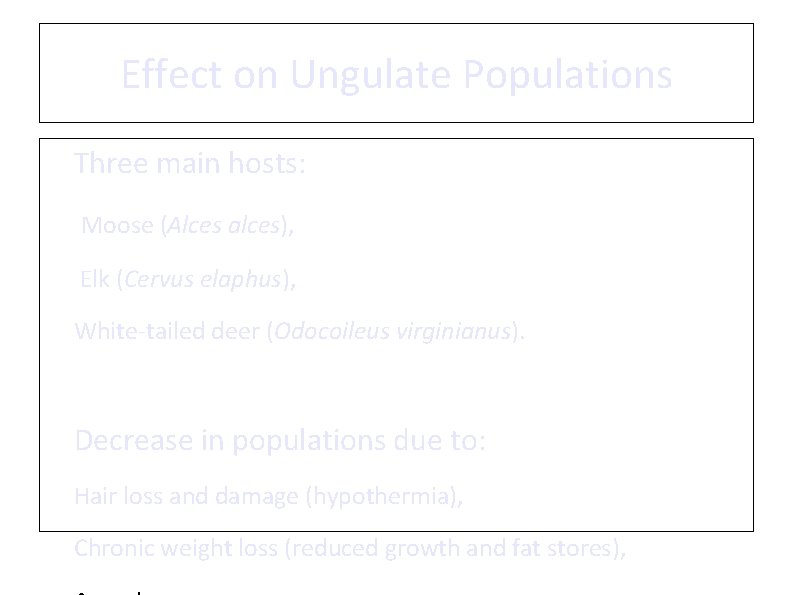 Effect on Ungulate Populations • Three main hosts: ü Moose (Alces alces), ü Elk