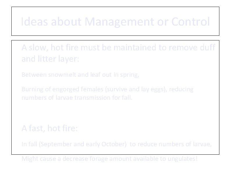 Ideas about Management or Control • ü ü A slow, hot fire must be