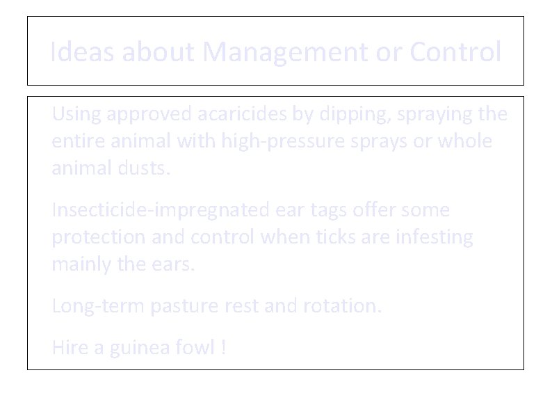 Ideas about Management or Control • • Using approved acaricides by dipping, spraying the