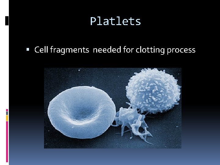 Platlets Cell fragments needed for clotting process 