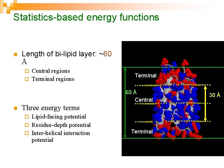 Statistics-based energy functions n Length of bi-lipid layer: ~60 Å Central regions ¨ Terminal