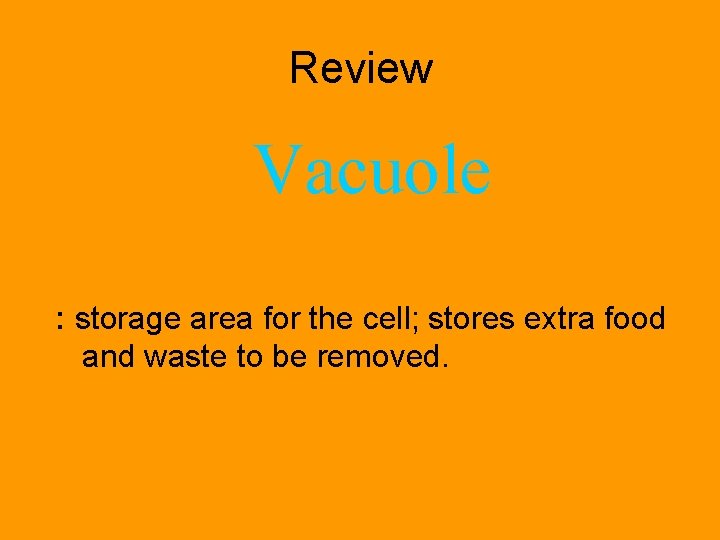 Review Vacuole : storage area for the cell; stores extra food and waste to