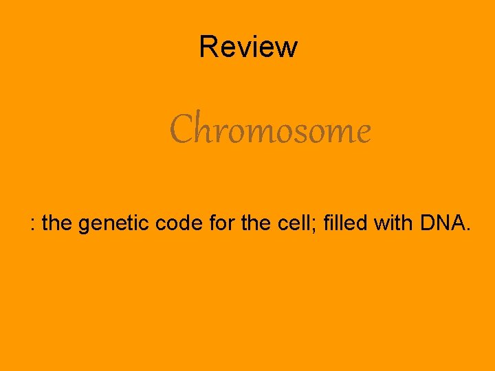Review Chromosome : the genetic code for the cell; filled with DNA. 