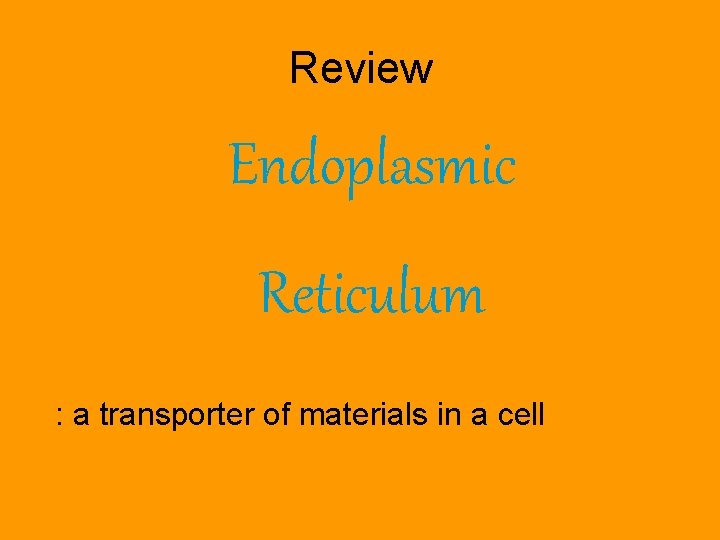 Review Endoplasmic Reticulum : a transporter of materials in a cell 