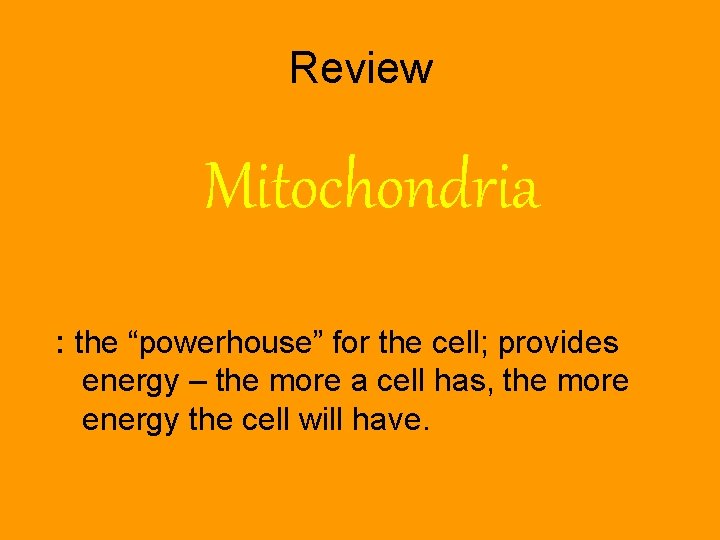 Review Mitochondria : the “powerhouse” for the cell; provides energy – the more a