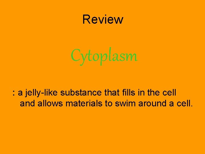 Review Cytoplasm : a jelly-like substance that fills in the cell and allows materials