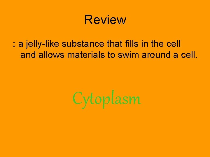 Review : a jelly-like substance that fills in the cell and allows materials to