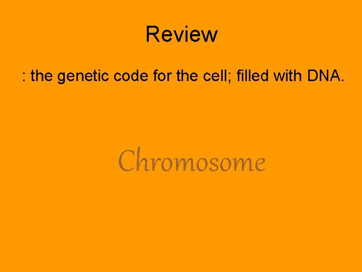 Review : the genetic code for the cell; filled with DNA. Chromosome 