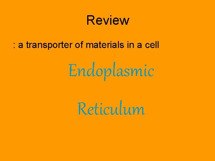 Review : a transporter of materials in a cell Endoplasmic Reticulum 