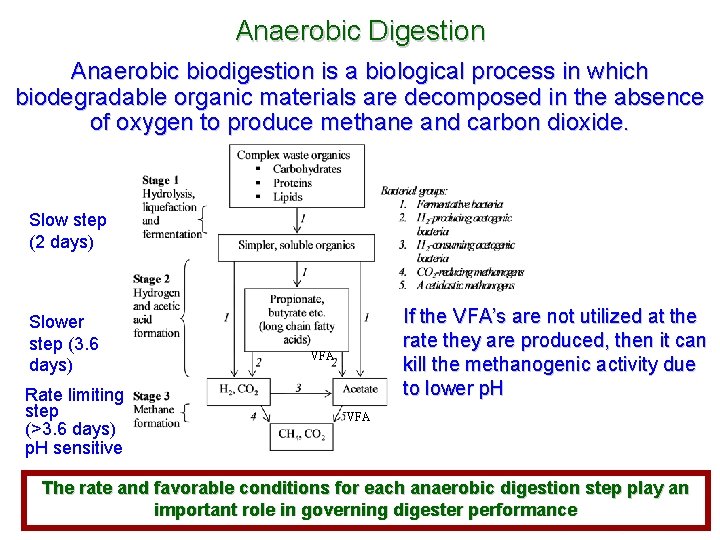 Anaerobic Digestion Anaerobic biodigestion is a biological process in which biodegradable organic materials are